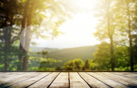 Les meilleures citations sur le printemps 
